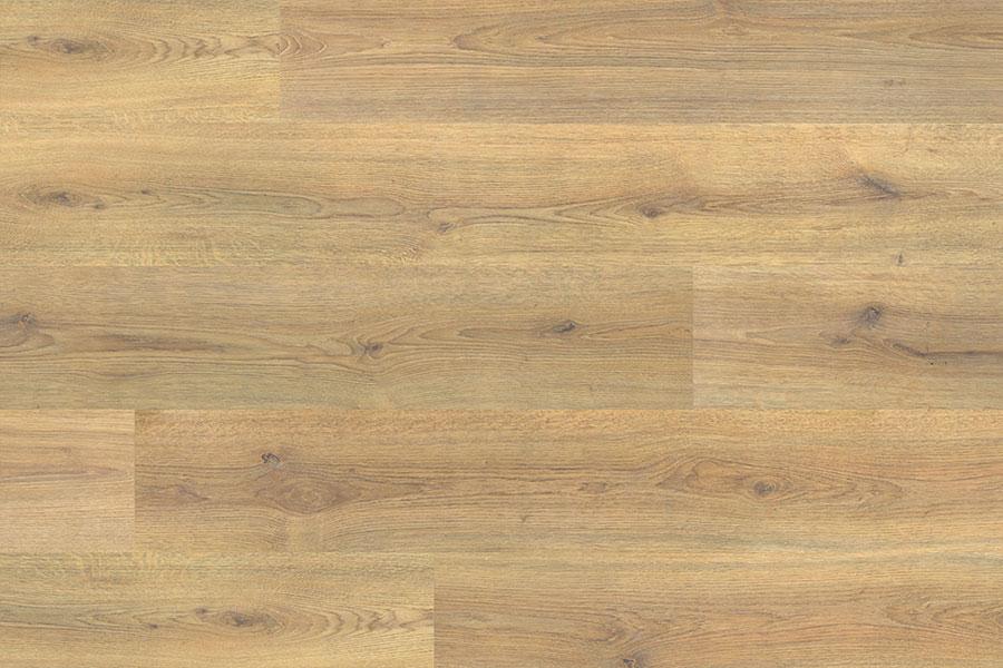 Series Woods 8mm Laminate Flooring Nature Oak - Image 4